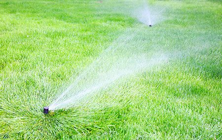 how do i water my lawn?