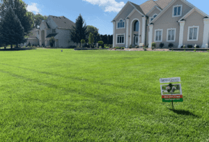 Summer Lawn Care Tips