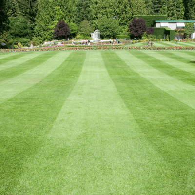 Lawn Striping and Lawn Patterns