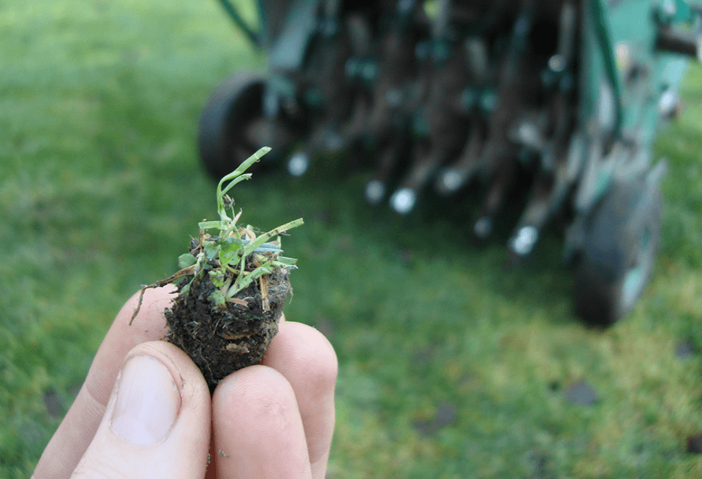 Lawn aeration and over seeding