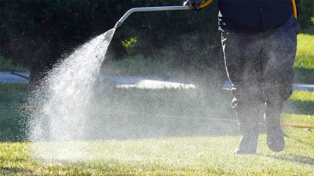 lawn aeration spraying