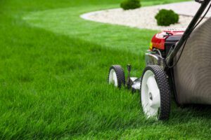 lawn mowing during spring